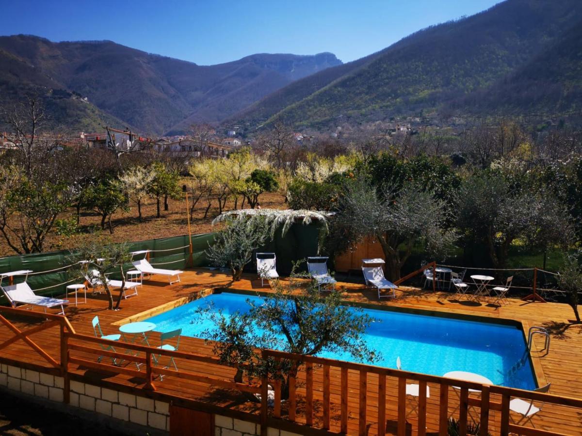 B & B Evergreen Corbara  Exterior photo
