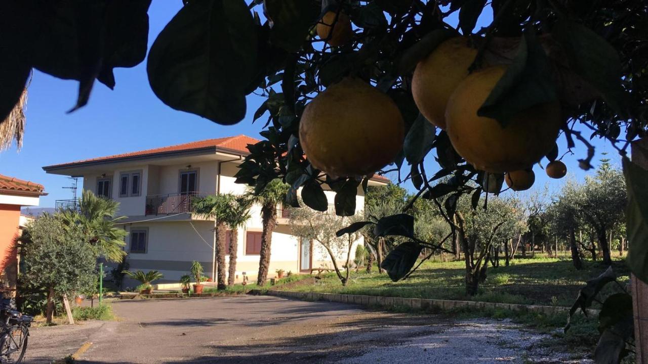 B & B Evergreen Corbara  Exterior photo